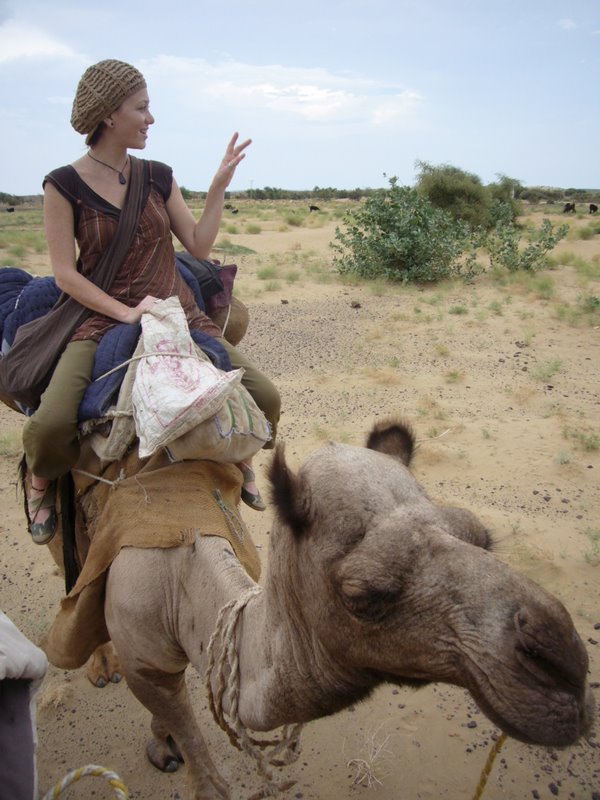 Travel - India - Rajasthan - Desert Camel Trip - Camel Safari